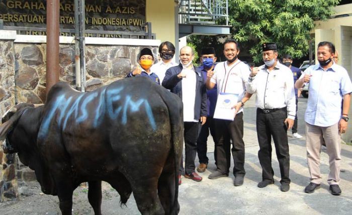 Partai NasDem Kurban 21 Ekor Sapi, Seekor Dibagikan Melalui PWI Jatim 