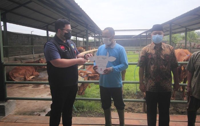 Serahkan Hibah Sapi ke Warga Gurah, Bupati Kediri Canangkan Kemandirian Pangan Serahkan Hibah Sapi ke Warga Gurah, Bupati Kediri Canangkan Kemandirian Pangan
