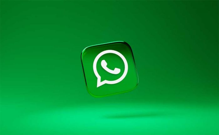 Warnai Ruang Obrolan, WhatsApp Hadirkan Fitur ini Warnai Ruang Obrolan, WhatsApp Hadirkan Fitur ini