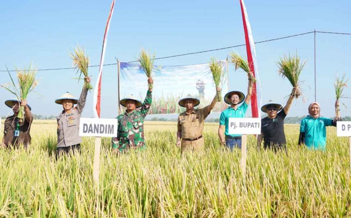 Bukti Berhasilnya Kemitraan dengan Uni Eropa, Pemkab Madiun Gelar Panen Raya Bukti Berhasilnya Kemitraan dengan Uni Eropa, Pemkab Madiun Gelar Panen Raya