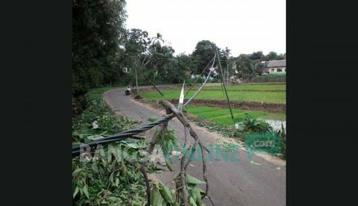 Hujan Deras Disertai Angin Kencang di Gerabagan Tuban, Pohon Tumbang, Listrik Padam Hujan Deras Disertai Angin Kencang di Gerabagan Tuban, Pohon Tumbang, Listrik Padam