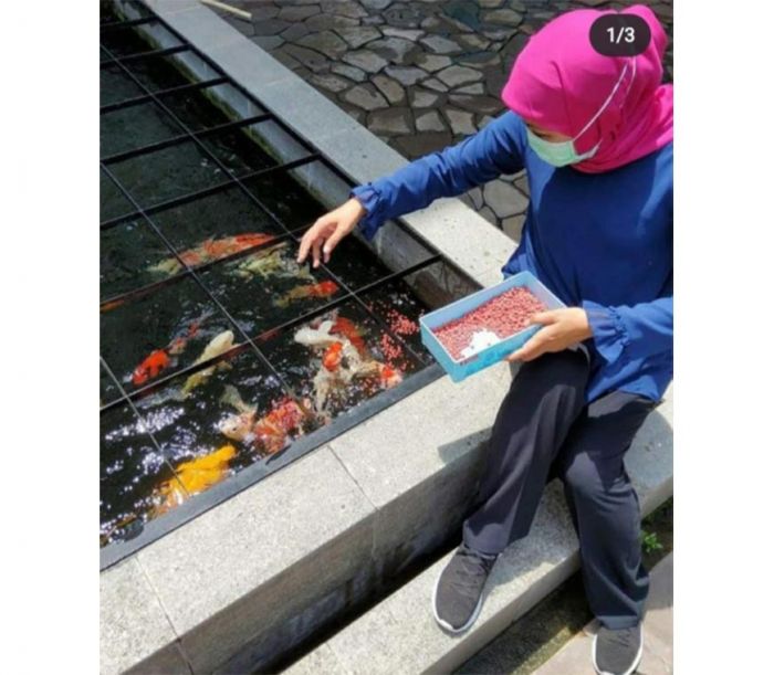 Kasih Makan Ikan, Gubernur Khofifah: Arena Rekreasi selama Isolasi Mandiri Kasih Makan Ikan, Gubernur Khofifah: Arena Rekreasi selama Isolasi Mandiri