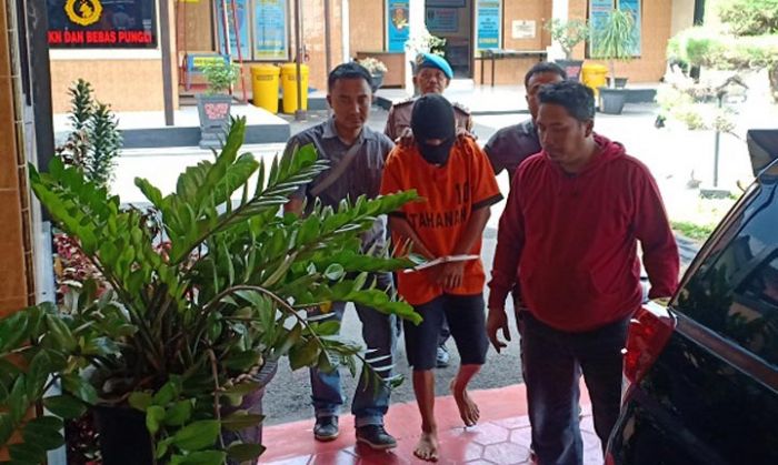 Sering Lihat Konten Porno, Pengedar Pil Koplo Tega Setubuhi Anak Kandung Sering Lihat Konten Porno, Pengedar Pil Koplo Tega Setubuhi Anak Kandung