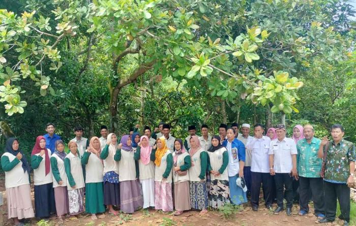 Poktan Gotong Royong di Tambak Poco Bangkalan Miliki Varietas Jambu Mete Terbaik Poktan Gotong Royong di Tambak Poco Bangkalan Miliki Varietas Jambu Mete Terbaik