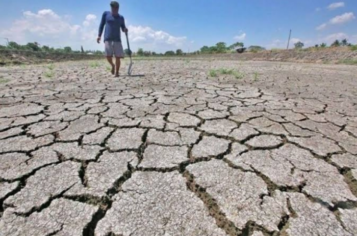 Awas! BMKG Prediksi Kekeringan Dampak El Nino Lebih Parah dari 3 Tahun Sebelumnya Awas! BMKG Prediksi Kekeringan Dampak El Nino Lebih Parah dari 3 Tahun Sebelumnya