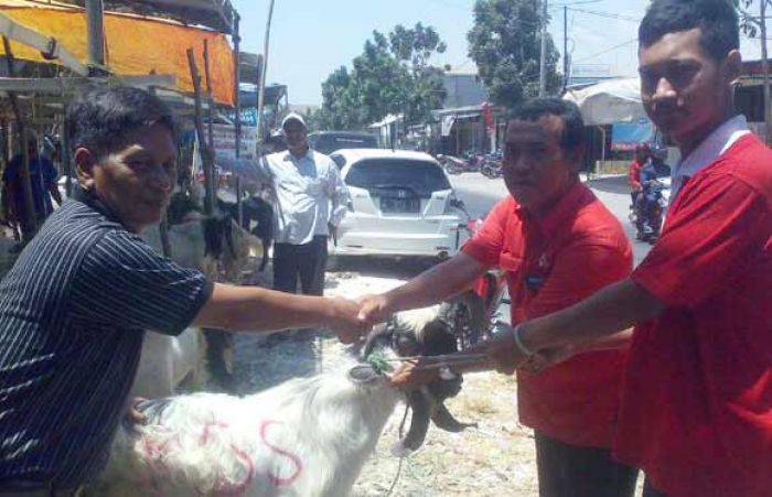 RGS-SQ Salurkan Puluhan Hewan Kurban RGS-SQ Salurkan Puluhan Hewan Kurban