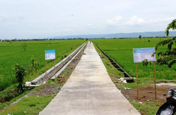 Dukung Perekonomian Petani, Pemkab Pasuruan Kucurkan Rp 2,1 Miliar untuk JUT Dukung Perekonomian Petani, Pemkab Pasuruan Kucurkan Rp 2,1 Miliar untuk JUT