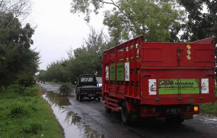 Kritik Pemerintah, Jalan Provinsi Ditanami Pohon