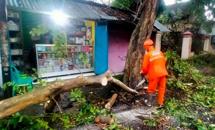 Hujan Deras Disertai Angin di Kota Kediri Akibatkan Banjir dan Pohon Tumbang