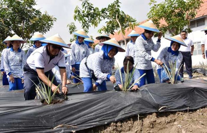 Manfaatkan Lahan Kosong, Kolatarmatim Laksanakan Penanaman TNCT dan Panen Lele Manfaatkan Lahan Kosong, Kolatarmatim Laksanakan Penanaman TNCT dan Panen Lele
