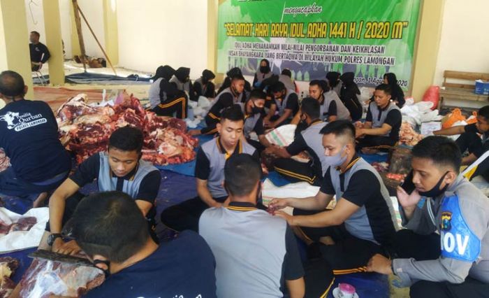 Polres Lamongan Sembelih 15 Ekor Sapi Polres Lamongan Sembelih 15 Ekor Sapi