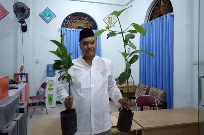 Turut Terlibat Dalam Mitigasi dan Kelestarian Lingkungan, MDMC Tanam Pohon di Desa Tanggap Bencana