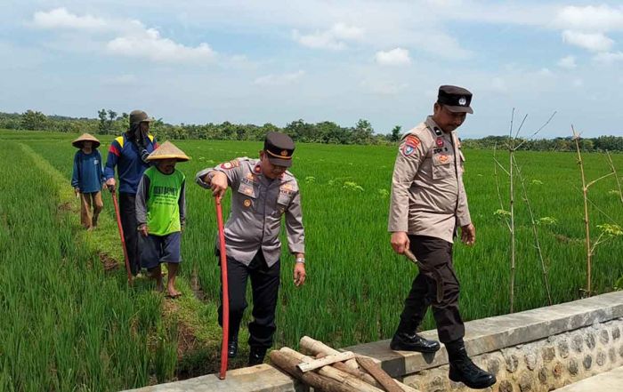 Tingkatkan Ketahanan Pangan, Bhabinkamtibmas Polsek Jogorogo Lakukan Gropyokan Tikus Bersama Petani