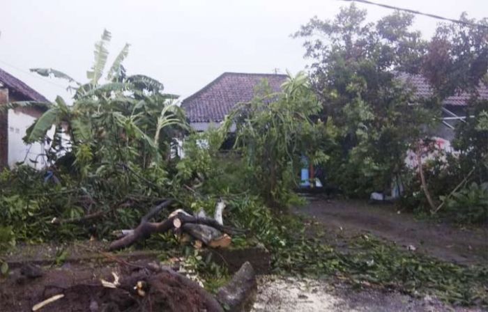 Angin Puting Beliung Terjang Tanggulangin, Puluhan Rumah Porak Poranda Angin Puting Beliung Terjang Tanggulangin, Puluhan Rumah Porak Poranda