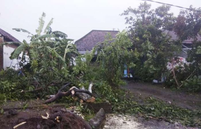 Angin Puting Beliung Terjang Tanggulangin, Puluhan Rumah Porak Poranda