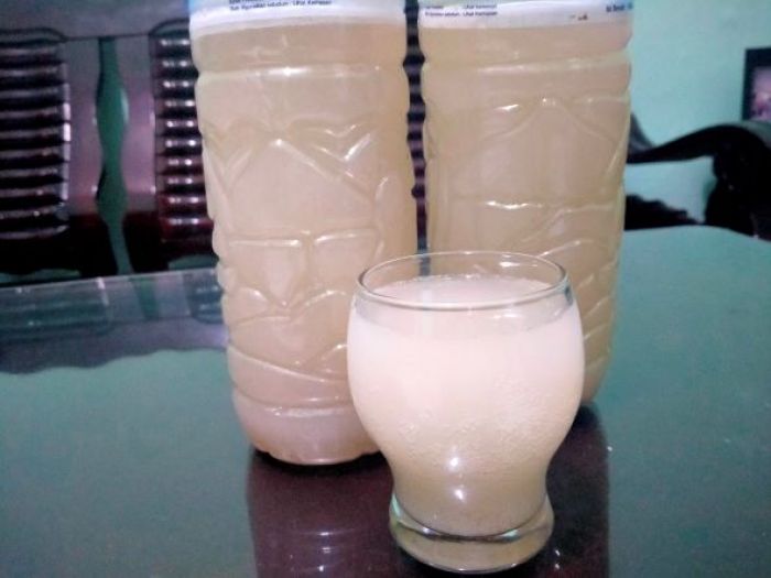 Menakjubkan, Legen Mentah Hancurkan Batu Ginjal, Ini Khasiat-Khasiat Lainnya Menakjubkan, Legen Mentah Hancurkan Batu Ginjal, Ini Khasiat-Khasiat Lainnya