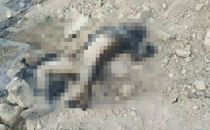 Kebakaran Pabrik Bioetanol, 10 Pekerja Luka Bakar dan 1 Meninggal Kebakaran Pabrik Bioetanol, 10 Pekerja Luka Bakar dan 1 Meninggal