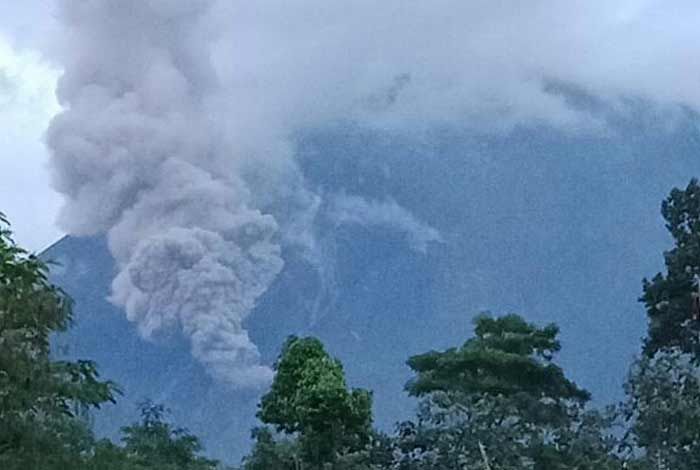 Gunung Semeru Semburkan Awan Panas Sejauh 1,5 Kilometer