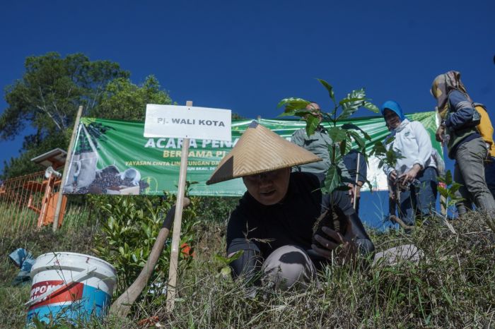 Tingkatkan Nilai Ekonomi, Petani Gunungsari Mulai Galakkan Tanam Kopi