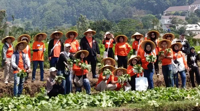 Harga Sayur Anjlok, Garda Pangan Beli Sayur Petani Songgokerto Harga Sayur Anjlok, Garda Pangan Beli Sayur Petani Songgokerto