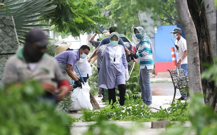 Tak Main Potong Sembarangan, Risma Beberkan Cara Perantingan Pohon yang Benar Tak Main Potong Sembarangan, Risma Beberkan Cara Perantingan Pohon yang Benar
