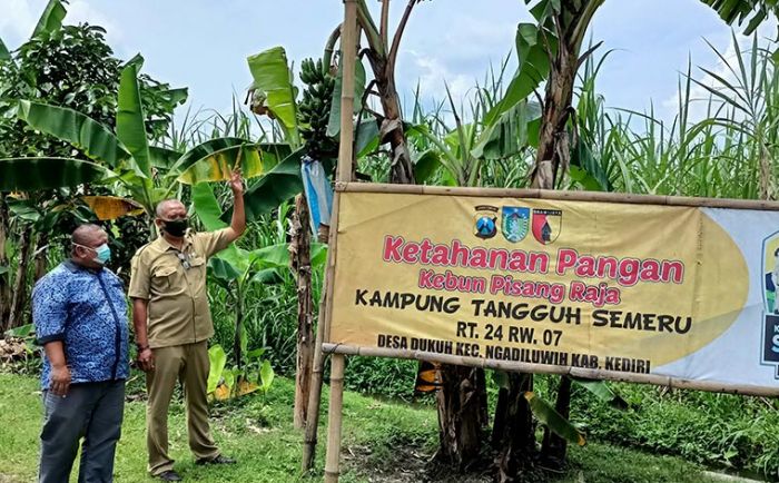 Wujudkan Ketahanan Pangan di Tengah Pandemi, Warga Dukuh Budi Daya Pisang Raja dan Bibit Bunga Wujudkan Ketahanan Pangan di Tengah Pandemi, Warga Dukuh Budi Daya Pisang Raja dan Bibit Bunga