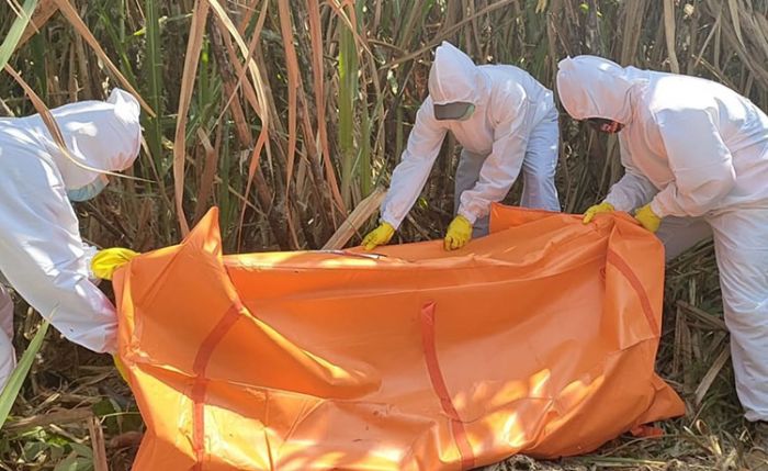 Hilang Sejak Malam Takbiran, Pria di Blitar Ditemukan Tewas di Kebun Tebu