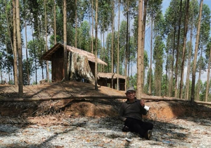 Gubernur Pingsan, Temperatur Titik Nol IKN 32, Tapi Serasa 49, Perlu Hutan Baru Gubernur Pingsan, Temperatur Titik Nol IKN 32, Tapi Serasa 49, Perlu Hutan Baru