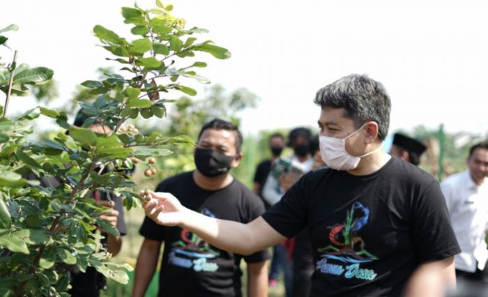 Sambangi Sejumlah Desa, Mas Iin Berharap BUMDes Mampu Kembangkan Potensi Desa Sambangi Sejumlah Desa, Mas Iin Berharap BUMDes Mampu Kembangkan Potensi Desa