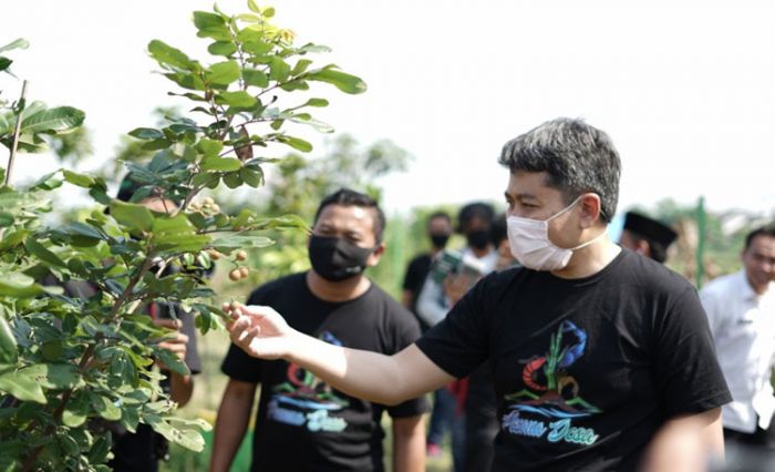 Sambangi Sejumlah Desa, Mas Iin Berharap BUMDes Mampu Kembangkan Potensi Desa