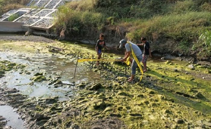 Tiga Bulan Hilang, Pria yang Hilang di Kali Lamong Ditemukan Tinggal Tulang Belulang