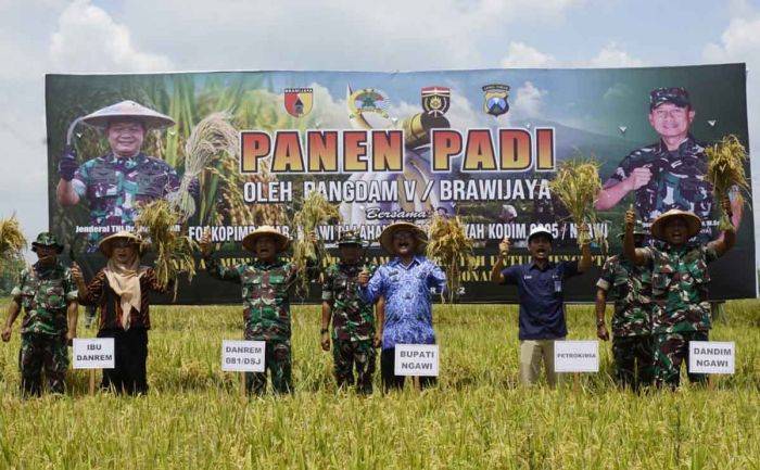 Danrem 081/DSJ Didampingi Dandim Ngawi Panen Padi di Desa Bangunrejo Kidul Danrem 081/DSJ Didampingi Dandim Ngawi Panen Padi di Desa Bangunrejo Kidul