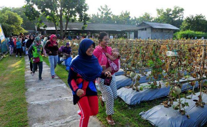 Warga Serbu Wisata Petik Buah PAE 2016