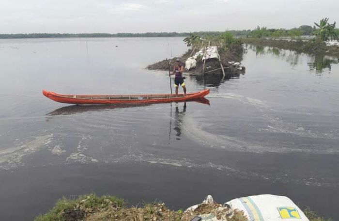 Disperta Bojonegoro Sayangkan Masih Banyak Petani yang Tak Asuransikan Padinya Disperta Bojonegoro Sayangkan Masih Banyak Petani yang Tak Asuransikan Padinya