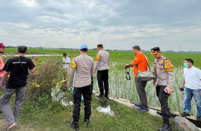Identitas Mayat Tanpa Kepala di Jombang Temui Titik Terang Identitas Mayat Tanpa Kepala di Jombang Temui Titik Terang