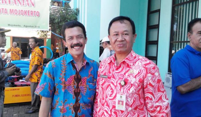 Ratusan Petani Korban Banjir Sungai Sadar Terima Bantuan Benih Ratusan Petani Korban Banjir Sungai Sadar Terima Bantuan Benih