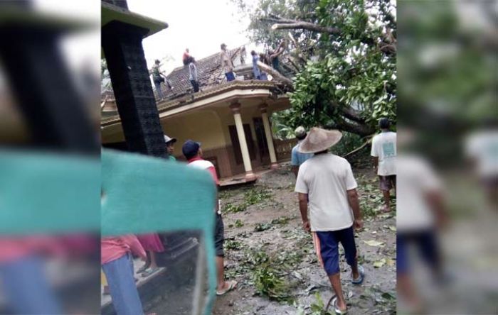 Sejumlah Rumah di Desa Dawuhan Tertimpa Pohon Tumbang