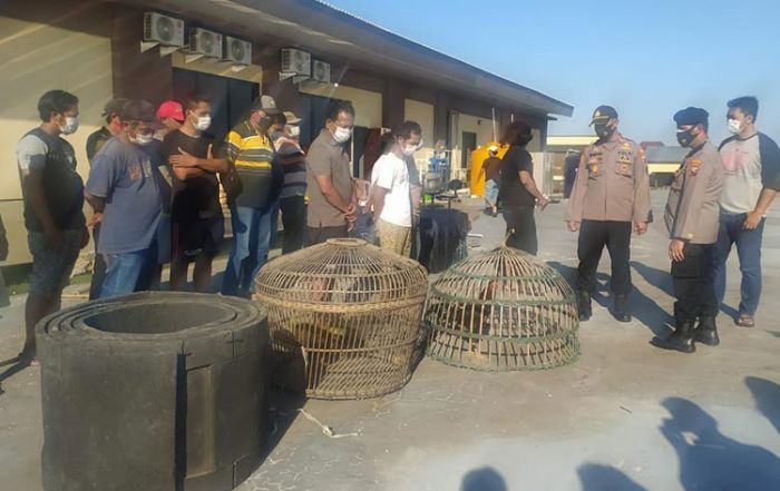 Judi Sabung Ayam di Desa Lebo Sidoarjo Digerebek, 13 Orang Diamankan