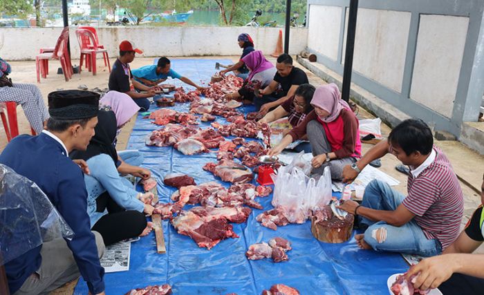 Tafsir Al-Quran Aktual Refleksi Idul Adha: Sudah Berkorban, Tapi Belum Berqurban Tafsir Al-Quran Aktual Refleksi Idul Adha: Sudah Berkorban, Tapi Belum Berqurban