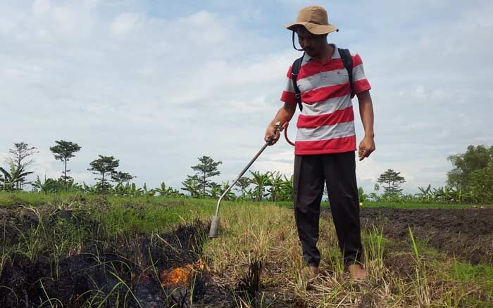 SMAPUT, Alat Pembasmi Rumput Inovasi Petani Karangasem Nganjuk