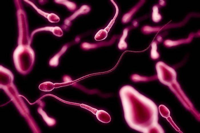 Enam Fakta tentang Manfaat Sperma yang Tak Terungkap Enam Fakta tentang Manfaat Sperma yang Tak Terungkap