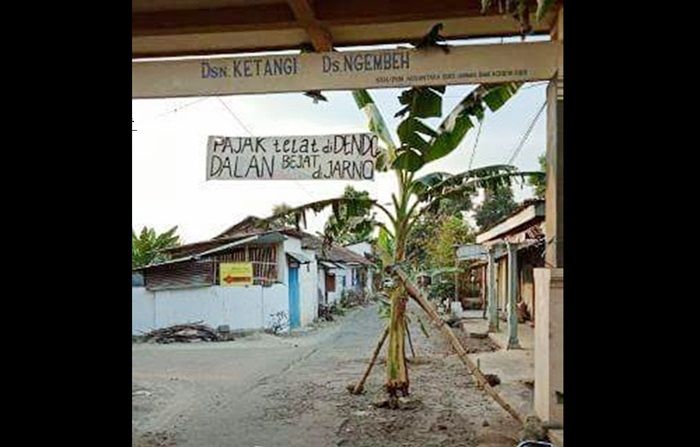 Kesal Tak Kunjung Diperbaiki, Warga Ketangi Mojokerto Tanam Pohon Pisang di Jalan