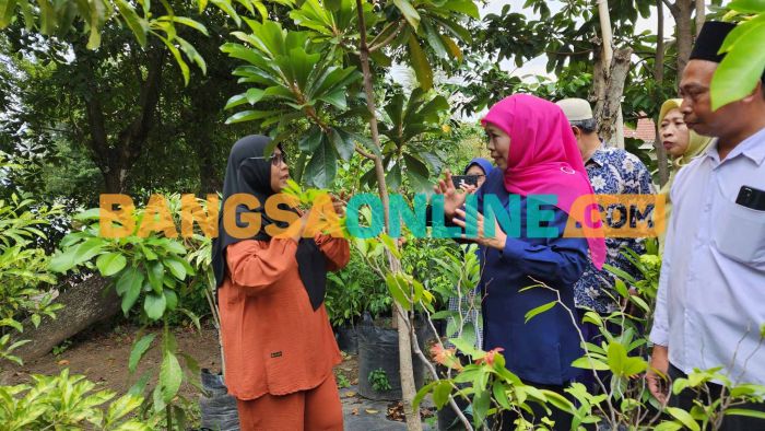 Tembus Pasar LN dan Serap Tenaga Kerja Lokal, Khofifah Apresiasi Agrobisnis Bibit Buah di Nganjuk Tembus Pasar LN dan Serap Tenaga Kerja Lokal, Khofifah Apresiasi Agrobisnis Bibit Buah di Nganjuk