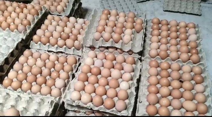 Jelang Akhir Tahun, Harga Telur di Kota Blitar Tembus Rp 25 Ribu per Kg Jelang Akhir Tahun, Harga Telur di Kota Blitar Tembus Rp 25 Ribu per Kg