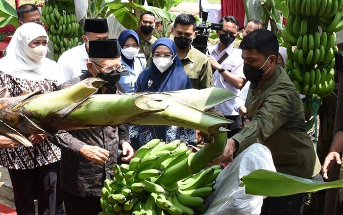 Gubernur Khofifah Dampingi Wapres Ma Gubernur Khofifah Dampingi Wapres Ma