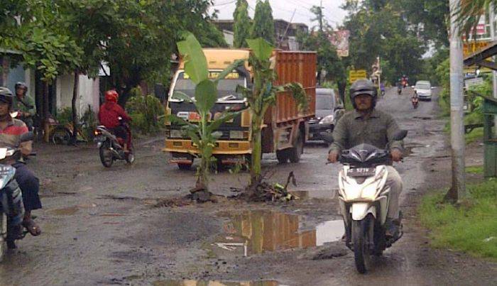 Kesal karena ‘Makan’ Korban, Warga Tanami Pohon Pisang Jalan Rusak Parah di Guyangan-Berbek