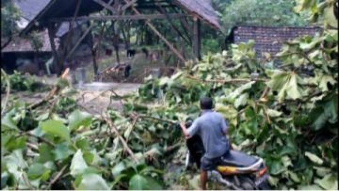 Puting Beliung Hajar Pemukiman Warga di Nganjuk Puting Beliung Hajar Pemukiman Warga di Nganjuk