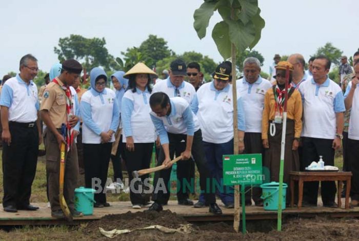 Pecahkan Rekor Dunia, Jokowi Peringati Hari Menanam Pohon Indonesia di Tuban Pecahkan Rekor Dunia, Jokowi Peringati Hari Menanam Pohon Indonesia di Tuban