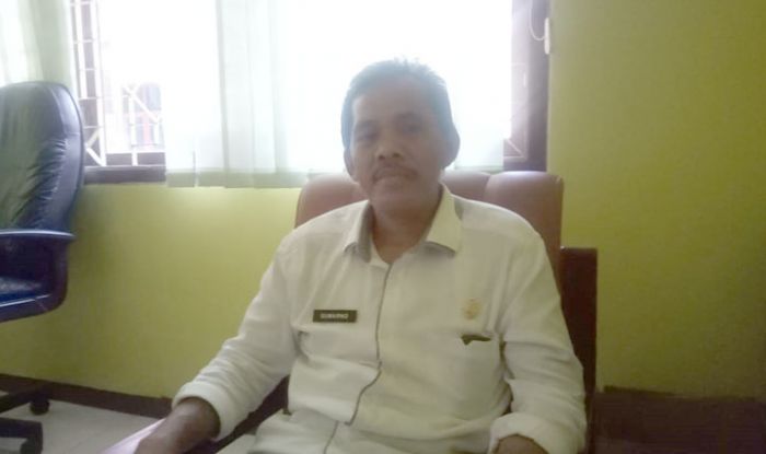 Antisipasi Pohon Tumbang, DPRKP Tuban Mulai Lakukan Perantingan Antisipasi Pohon Tumbang, DPRKP Tuban Mulai Lakukan Perantingan