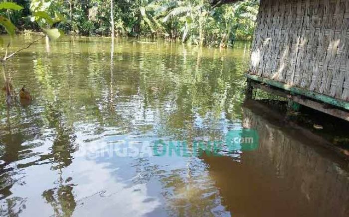 Fenomena Aneh di Pameksan, Sumur Warga Meluap Banjiri Sawah Fenomena Aneh di Pameksan, Sumur Warga Meluap Banjiri Sawah
